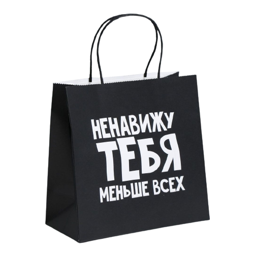 Gift Bag I Hate You Less Than Everyone, 22 x 22 x 11 cm