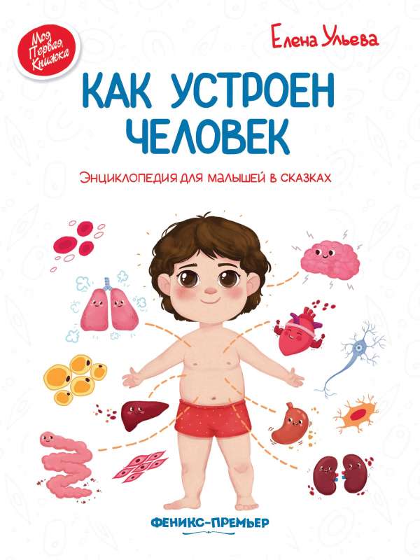 How the Human Body Works: An Encyclopedia for Toddlers in Fairytales