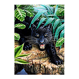 Diamond Mosaic 30x40 cm frame 33x43 cm BLACK PANTHER