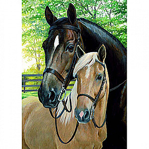 Diamond Mosaic PAIR OF HORSES, canvas size 25x30 cm, layout size 20x25 cm