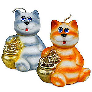 Show-box cat with coins