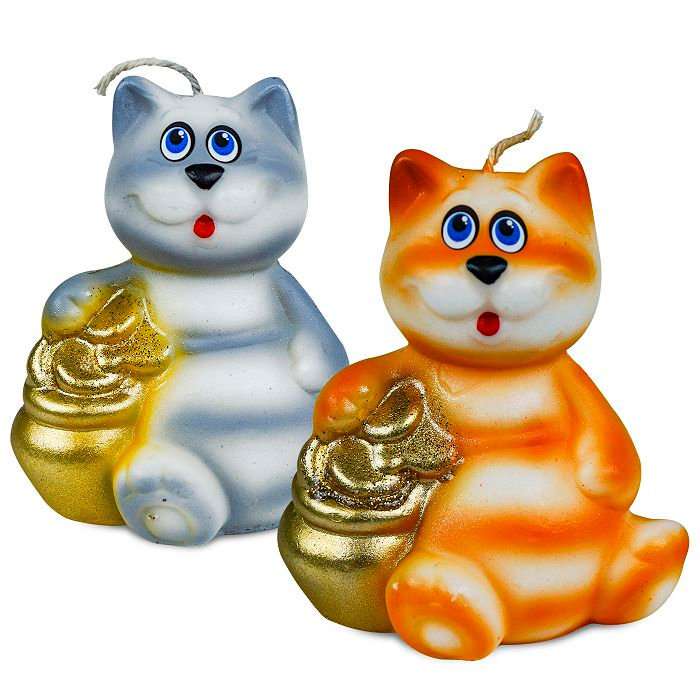 Show-box cat with coins