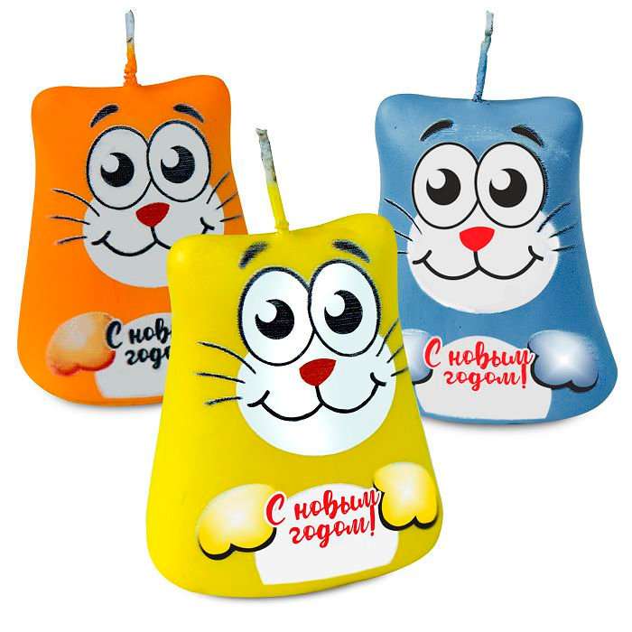 Cat Pillow Show-Box