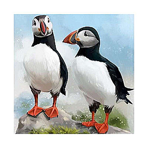 Diamond Mosaic PUFFIN BIRD, canvas 30x30 cm layout size 25x25 cm