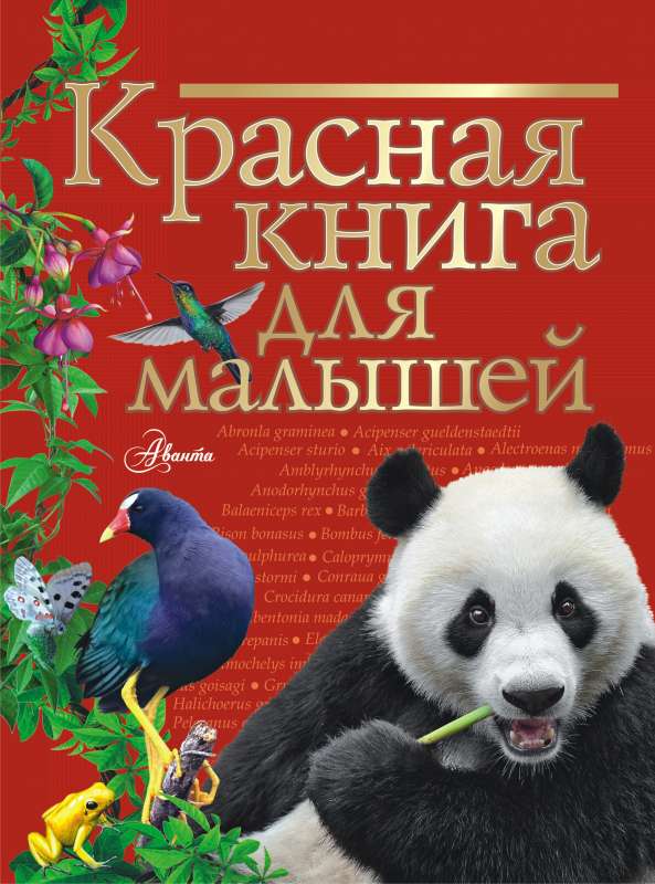 Red Book for Kids
