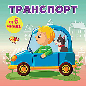 Transport