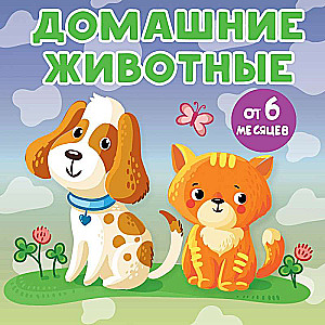 Pets