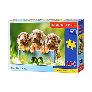 Cute Dachshunds Puzzle 100 pieces