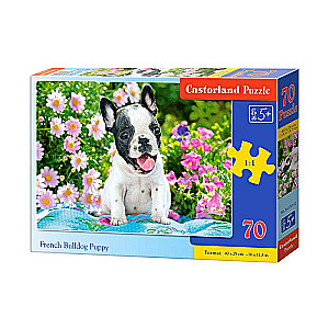 Puzzle French Bulldog Puppy 70 pcs.