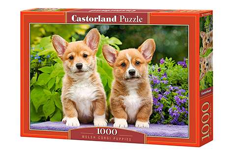 Puzzle Welsh Corgi Puppies 1000 pcs.