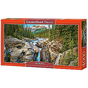 Puzzle Mistaya Canyon, Banff National Park, Canada 4000 pieces.