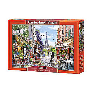 Puzzle 3000 CASTORLAND Paris in Colors