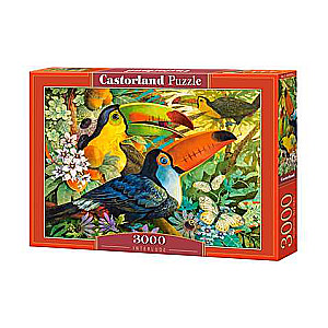 Puzzle 3000 CASTORLAND Interlude