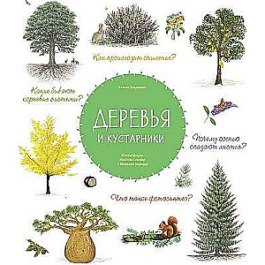 Деревья и кустарники