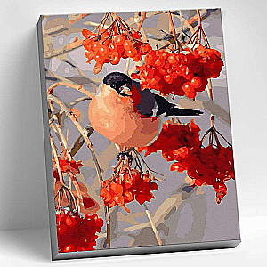 Painting by numbers 30x40 Color canvas GROSBEAK ON VIBURNUM BUNCHES 28 colors