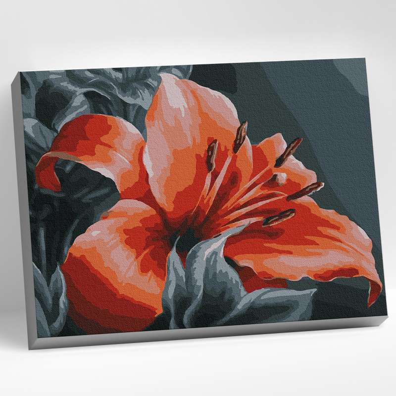 Paint by Numbers 30x40 Color Canvas ORANGE LILY 16 Colors