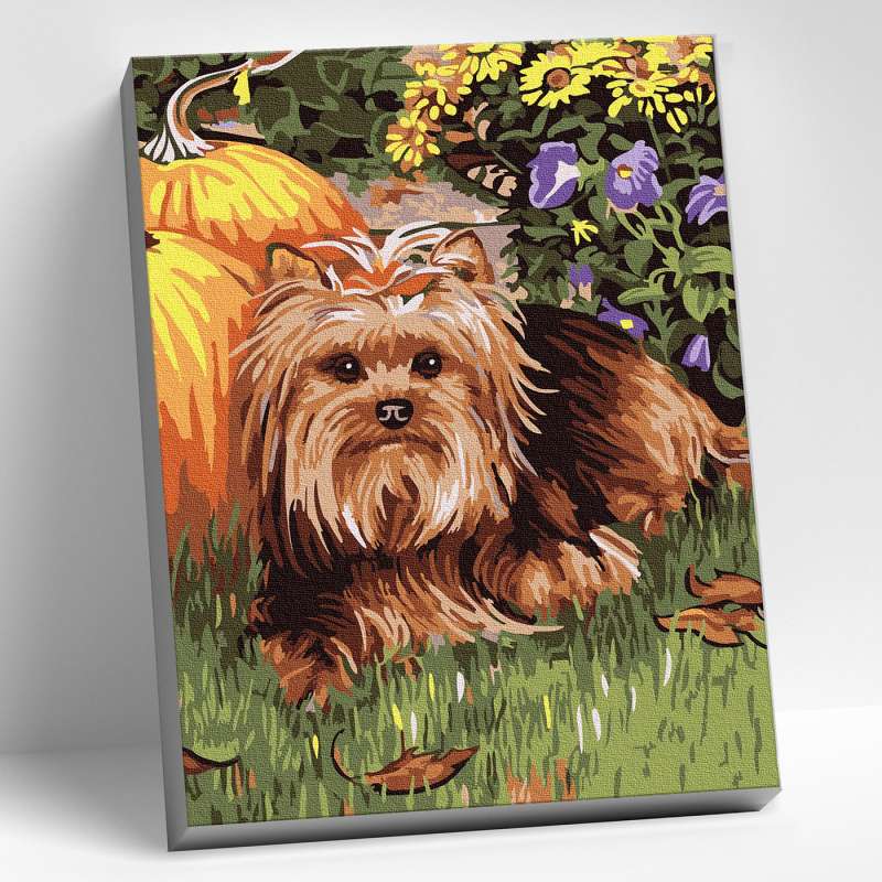 Set of Young Artist 20x30 YORK 15 colors