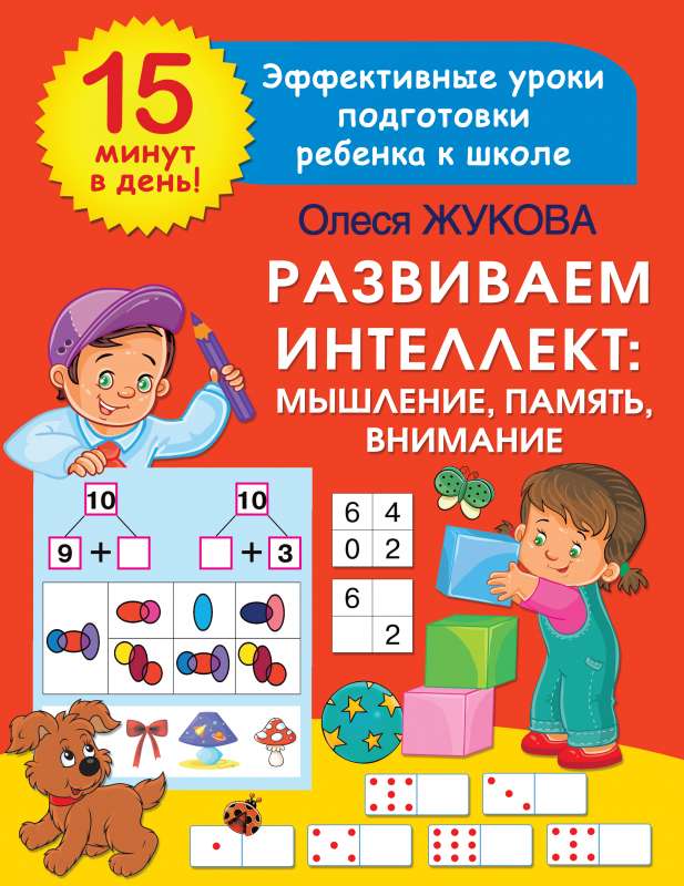 Developing Intelligence: Thinking, Memory, Attention