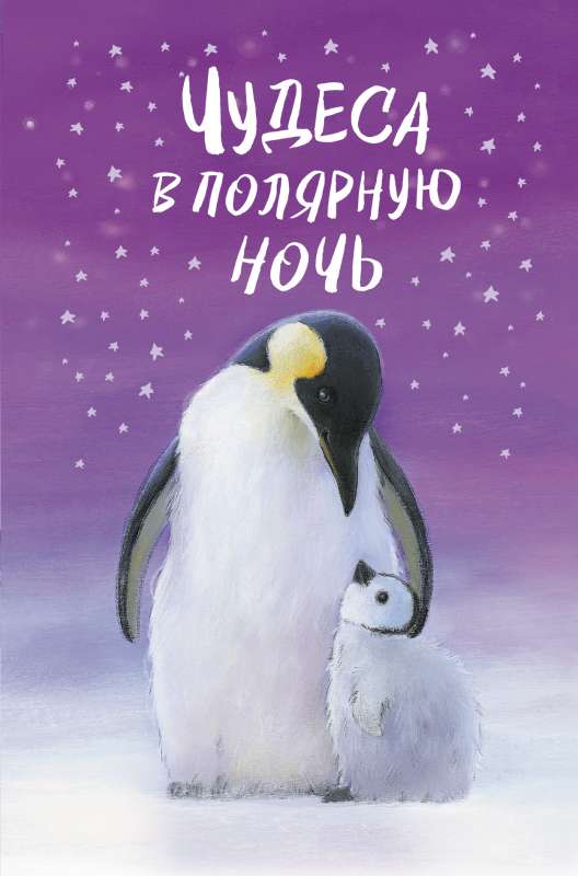 Brīnumi polārajā naktī