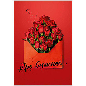 Блокноты Анны Джейн. Про важное...