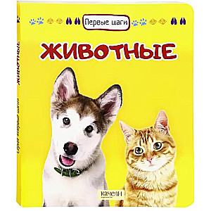 Животные
