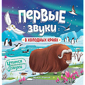 В холодных краях