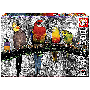 Puzzle EDUCA с клеем Попугаи в джунглях , 500 деталей