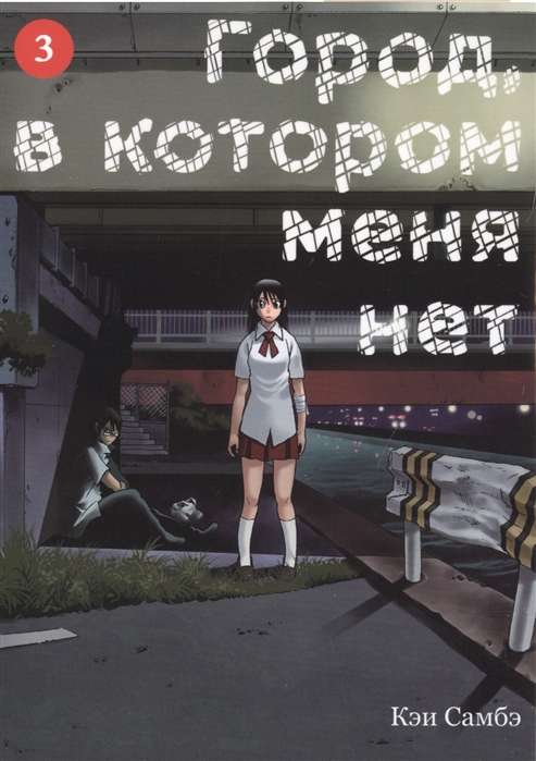 Die Stadt, in der ich nicht bin. Band 3