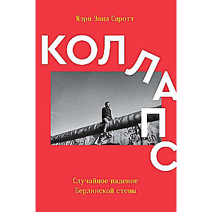Коллапс. Случайное падение Берлинской стены