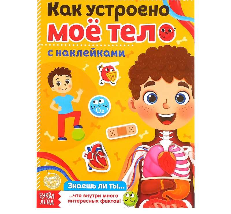 Как устроено моё тело