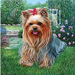 Mozaika diamentowa - York