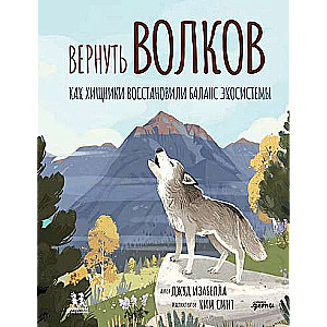 Вернуть волков: как хищники восстановили баланс экосистемы