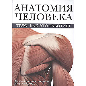 Анатомия человека