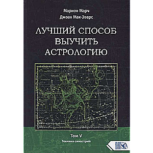 Лучший способ выучить астрологию. Книга V. Техника синастрий