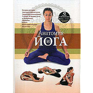 Анатомия и йога