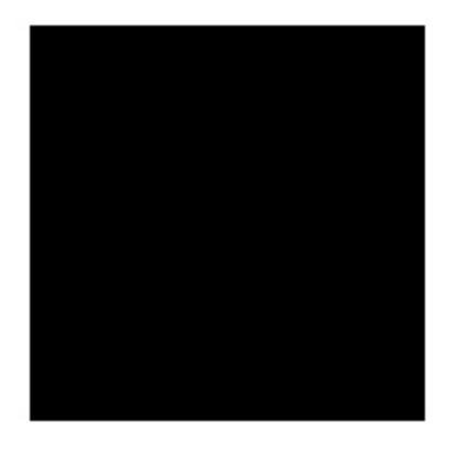 1 sheet of black cardboard A3 format, 170g.