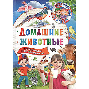 Домашние животные