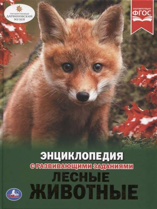 Лесные животные