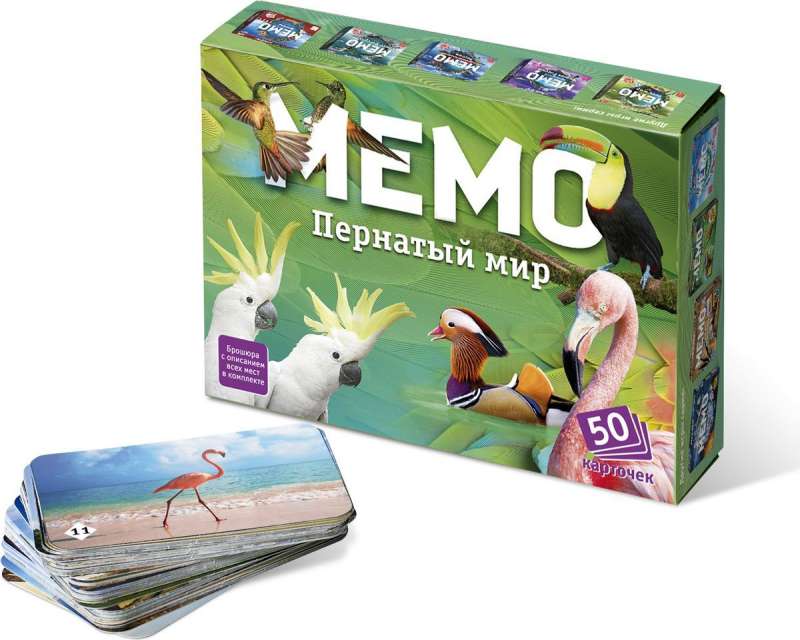 Stalo žaidimas - Meno. Plunksnuotasis pasaulis