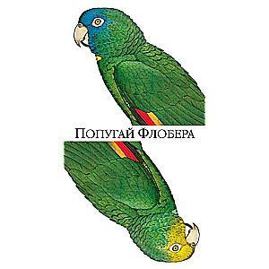 Попугай Флобера
