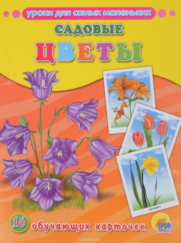 Уроки для самых маленьких. Садовые цветы. 16 обучающих карточек