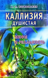 Каллизия душистая. Мифы и реальность
