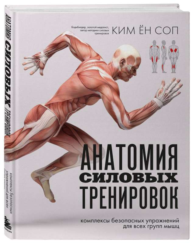 Anatomy of Strength Training