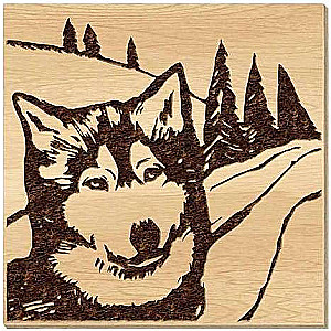 Branding Set White Fang