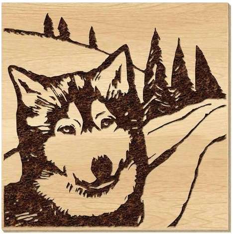 Branding Set White Fang