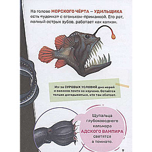 Underwater World. The First Encyclopedia for Kids
