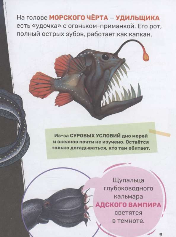 Underwater World. The First Encyclopedia for Kids