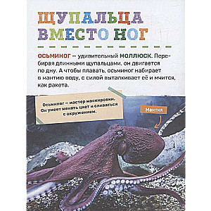Underwater World. The First Encyclopedia for Kids