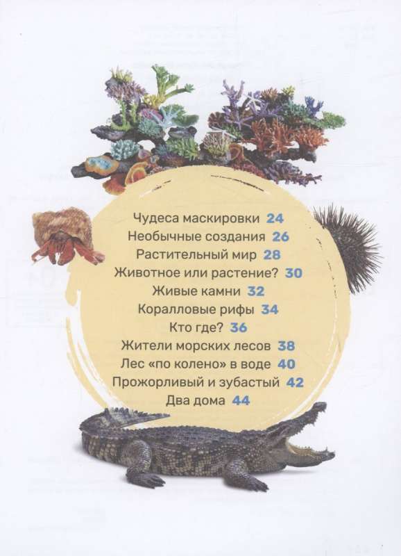 Underwater World. The First Encyclopedia for Kids