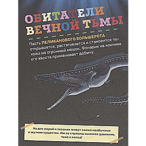 Underwater World. The First Encyclopedia for Kids